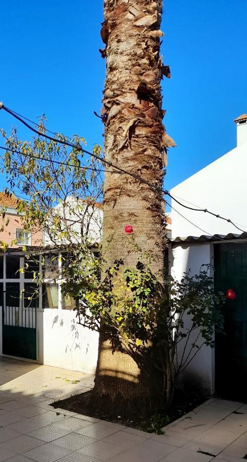 מלון פיניאל נובו Casa Da Forja מראה חיצוני תמונה